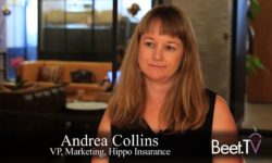 Hippo Builds Insurance Brand With Local Knowledge: Collins
